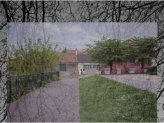 Creative vision of Spring realized in Ile-Saint-Denis and Romainville from a photomontage. Superposition of two photographs representing tree branches and a couple sitting in a park.
Vision creative du Printemps réalisée à Ile-Saint-Denis et à Romainville à partir d'un photomontage. Superposition de deux photographies représentant des branches d'arbre et un couple assis dans un parc.